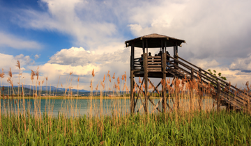 places to visit at haiderpur wetland