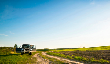 Birdwatching trip in haiderpur wetland