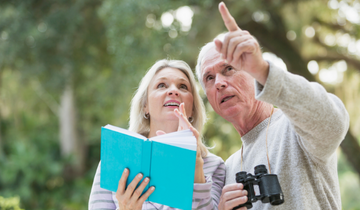 migratory birds in uttar pradesh